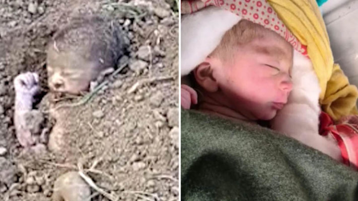 Newborn Baby Pulled Out Of The Ground After Being Buried Alive On Farm