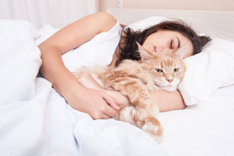 Why Cats Sleep in Bed with Humans