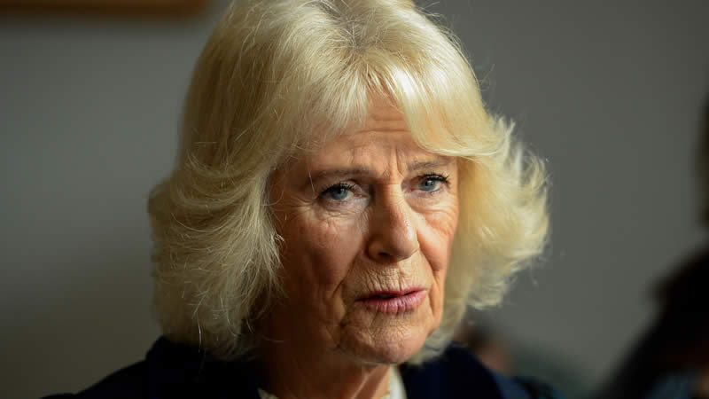 Queen Camilla son ‘sending a message' to Prince Harry with new book