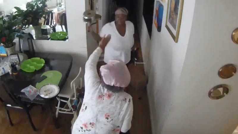 cameras captured the woman beating