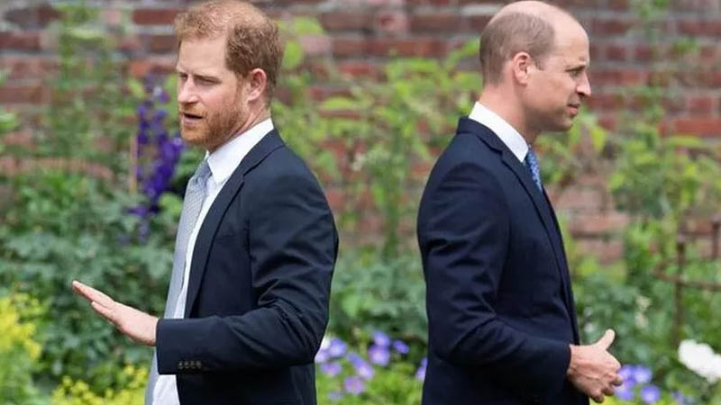 Prince Harry and Prince William