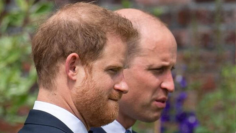 Prince Harry and Prince William