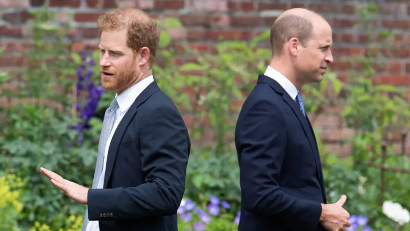 Prince Harry and Prince William