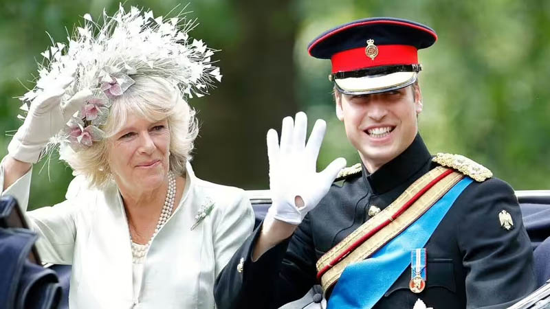 Prince William and Queen Camilla