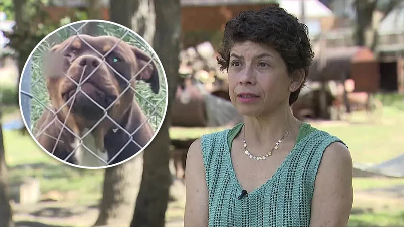 Texas woman's livestock